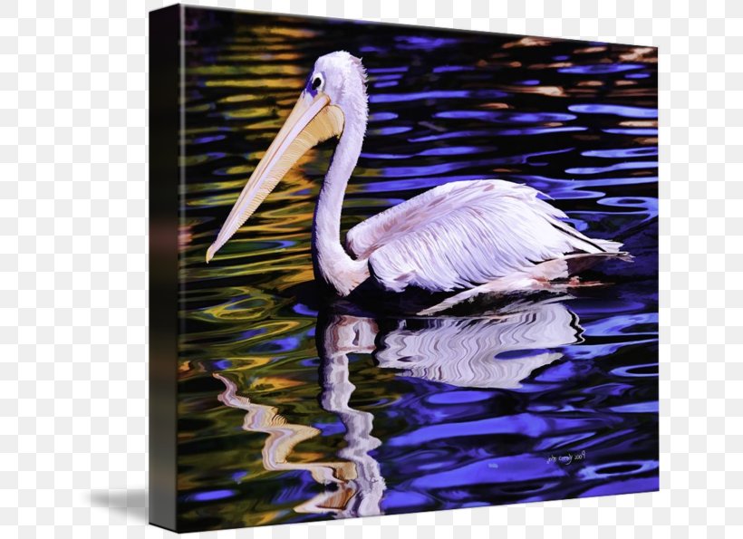 Pelican Bird Crane Painting Beak, PNG, 650x595px, Pelican, Beak, Bird, Crane, Crane Like Bird Download Free