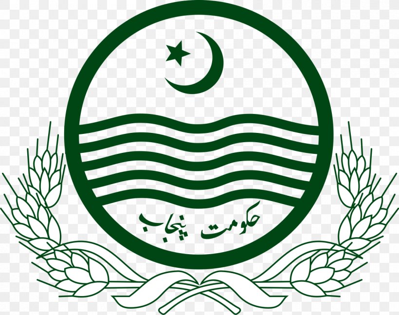 Lahore Government Of Punjab, Pakistan Punjab Forensic Science Agency Energy Department, PNG, 1200x948px, Lahore, Area, Black And White, Company, Energy Department Download Free