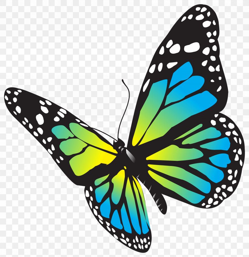 Large Butterfly Clip Art Image, PNG, 7178x7422px, Butterfly, Arthropod, Blue, Brush Footed Butterfly, Color Download Free