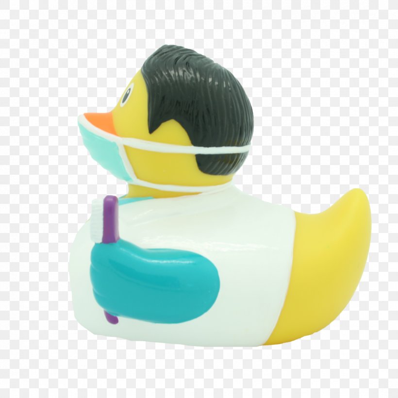 Rubber Duck Dentist Ducks Dental Fear, PNG, 1080x1080px, Duck, Amsterdam Duck Store, Bird, Cygnini, Dental Fear Download Free