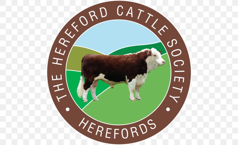 The Hereford Cattle Society Beefmaster Limousin Cattle Angus Cattle, PNG, 500x500px, Hereford Cattle, Angus Cattle, Beefmaster, Brahman Cattle, Breed Download Free