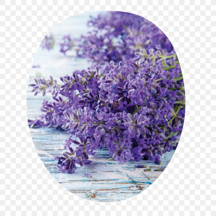 English Lavender Edible Flower Electronic Cigarette Aerosol And Liquid Kräuterspirale Thymes, PNG, 1000x1000px, English Lavender, Edible Flower, Flavor, Herb, Lavender Download Free