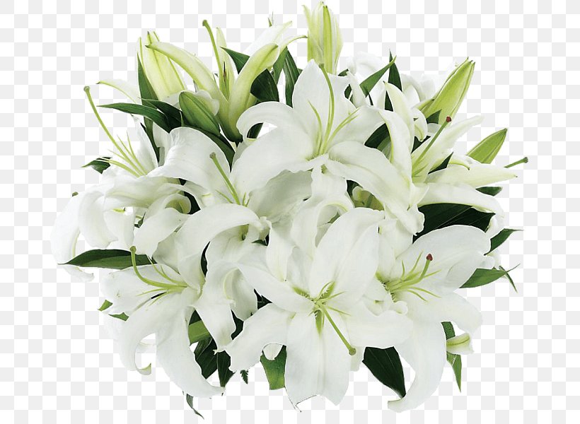 Madonna Lily Flower Bouquet Floral Design Lily 'Stargazer', PNG, 677x600px, Madonna Lily, Artificial Flower, Bouquet, Calla Lily, Cut Flowers Download Free