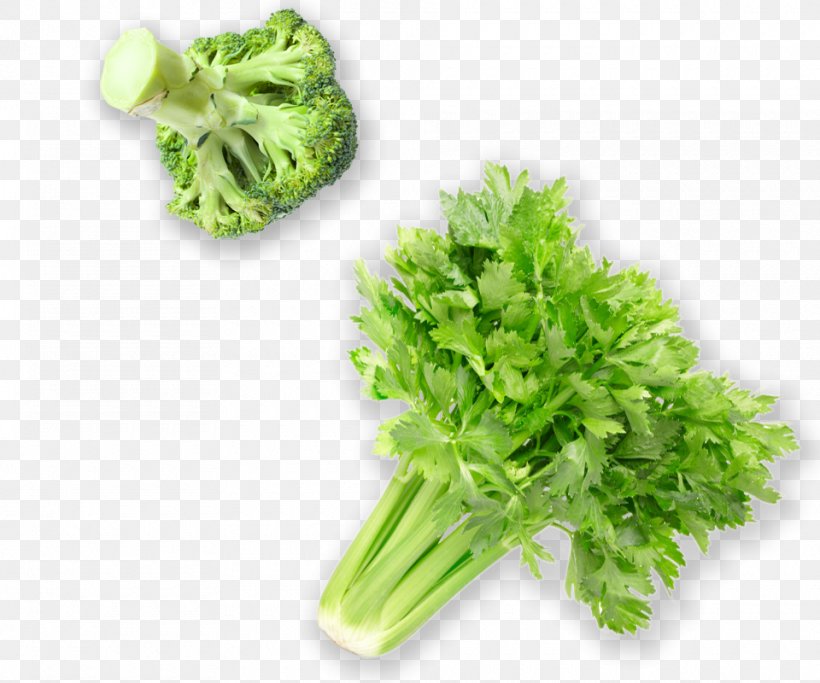 Vegetarian Cuisine Leaf Vegetable Food Herb, PNG, 960x800px, Vegetarian Cuisine, Celery, Coriander, Endive, Food Download Free
