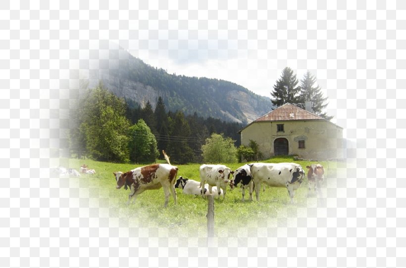 Cattle Pasture Farm Hill Station, PNG, 722x542px, Cattle, Farm, Grass, Hill Station, House Download Free