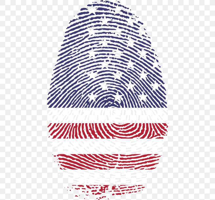 Fingerprint Spiral Clip Art, PNG, 468x764px, Fingerprint, Area, Criminal Investigation, Digit, Finger Download Free