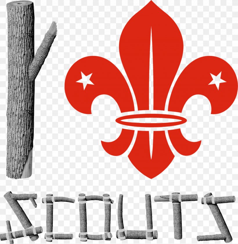 Scouting World Scout Emblem Boy Scouts Of America World Organization Of The Scout Movement Cub Scout, PNG, 3304x3392px, Scouting, Boy Scouts Of America, Brand, Cub Scout, Cub Scouting Download Free
