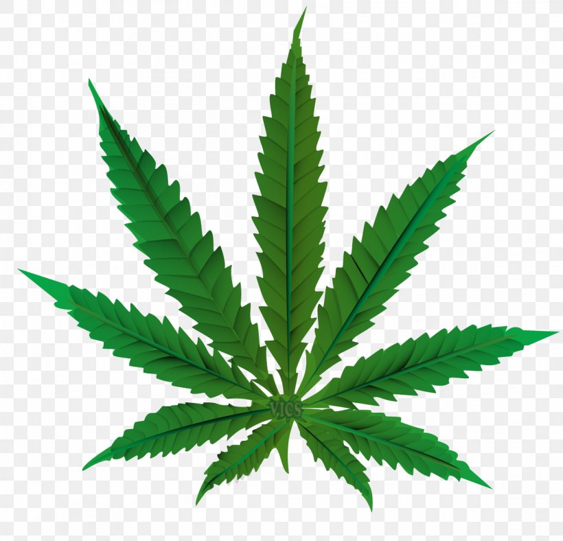 Cannabis Sativa Leaf Medical Cannabis Hemp, PNG, 1162x1117px, Cannabis Sativa, Bud, Cannabis, Cannabis Smoking, Drug Download Free
