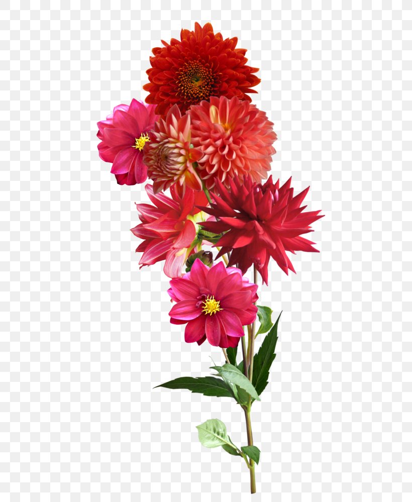 Dahlia Cut Flowers Clip Art, PNG, 476x999px, Dahlia, Annual Plant, Aster, Bit, Blanket Flowers Download Free