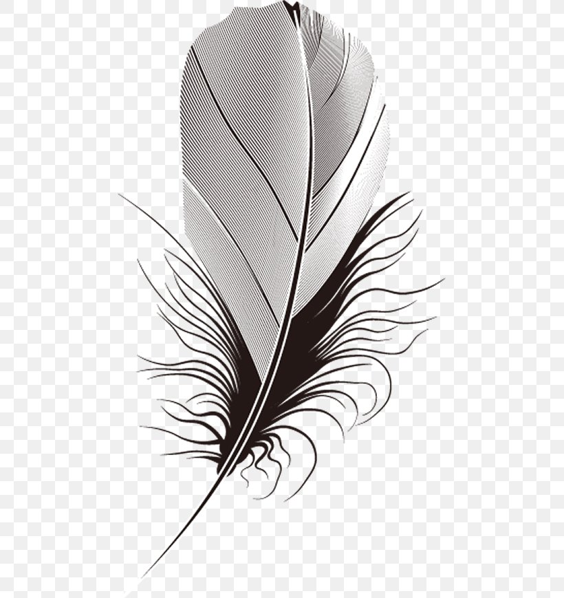 Feather., PNG, 477x870px, Feather, Animation, Bird, Black And White, Fashion Accessory Download Free
