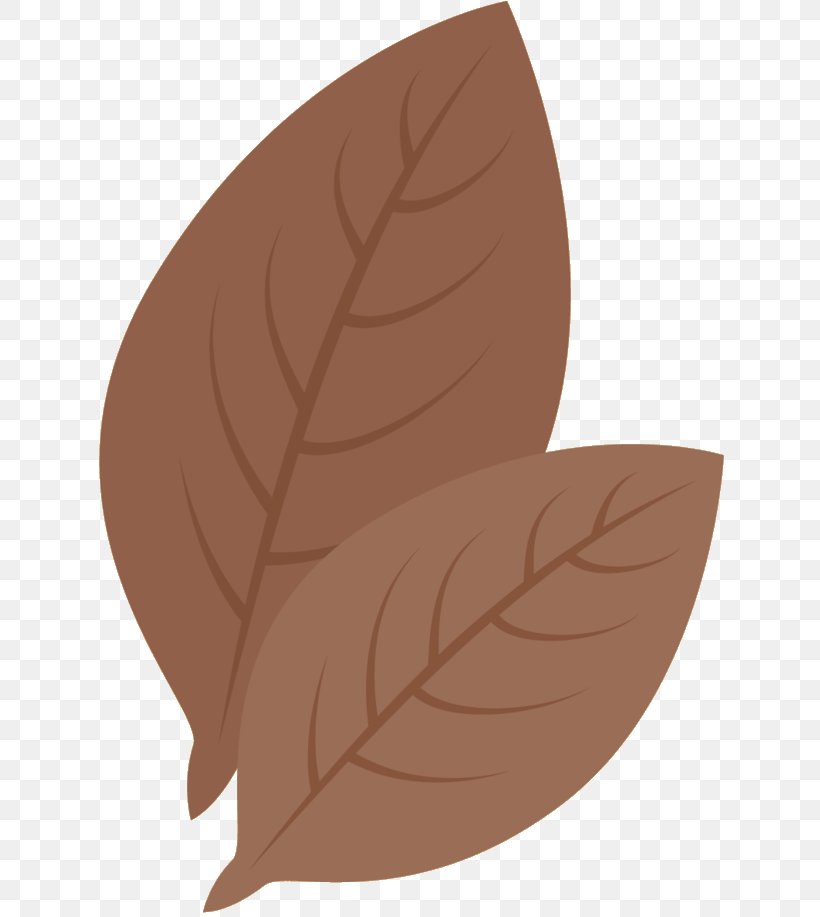 Leaf Cartoon, PNG, 640x917px, Leaf, Brown, Cartoon, Feather, Plant Download Free