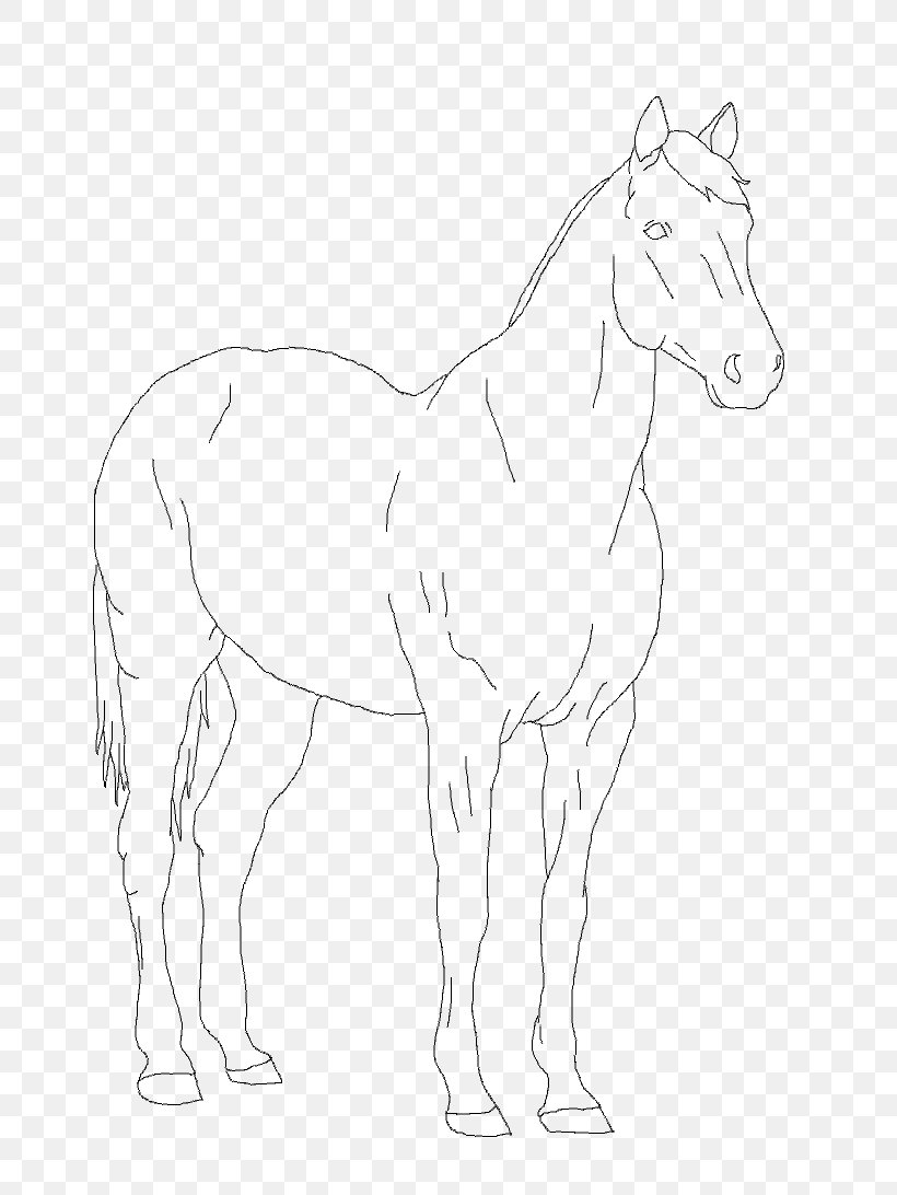 Mule Foal Bridle Stallion Colt, PNG, 731x1092px, Mule, Animal Figure, Artwork, Black And White, Bridle Download Free