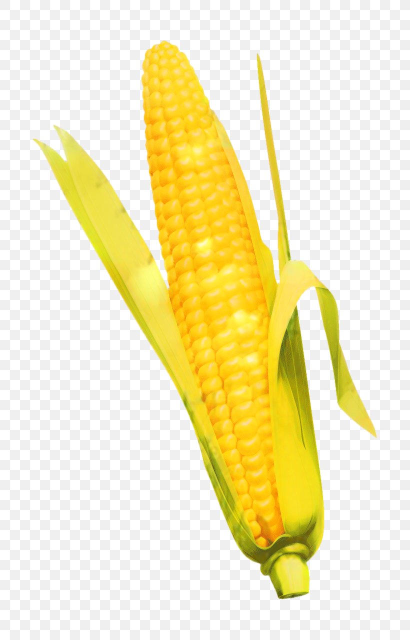 Vegetable Cartoon, PNG, 720x1280px, Corn On The Cob, Anthurium, Commodity, Corn, Corn Kernel Download Free