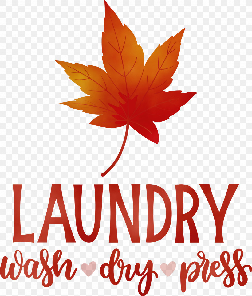 Leaf Flower Logo Font Maple Leaf / M, PNG, 2551x3000px, Laundry, Biology, Dry, Flower, Leaf Download Free