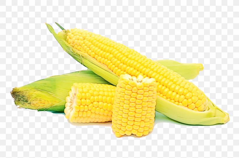 Corn Kernels Corn On The Cob Corn Sweet Corn Yellow, PNG, 2200x1457px, Watercolor, Corn, Corn Kernels, Corn On The Cob, Cuisine Download Free
