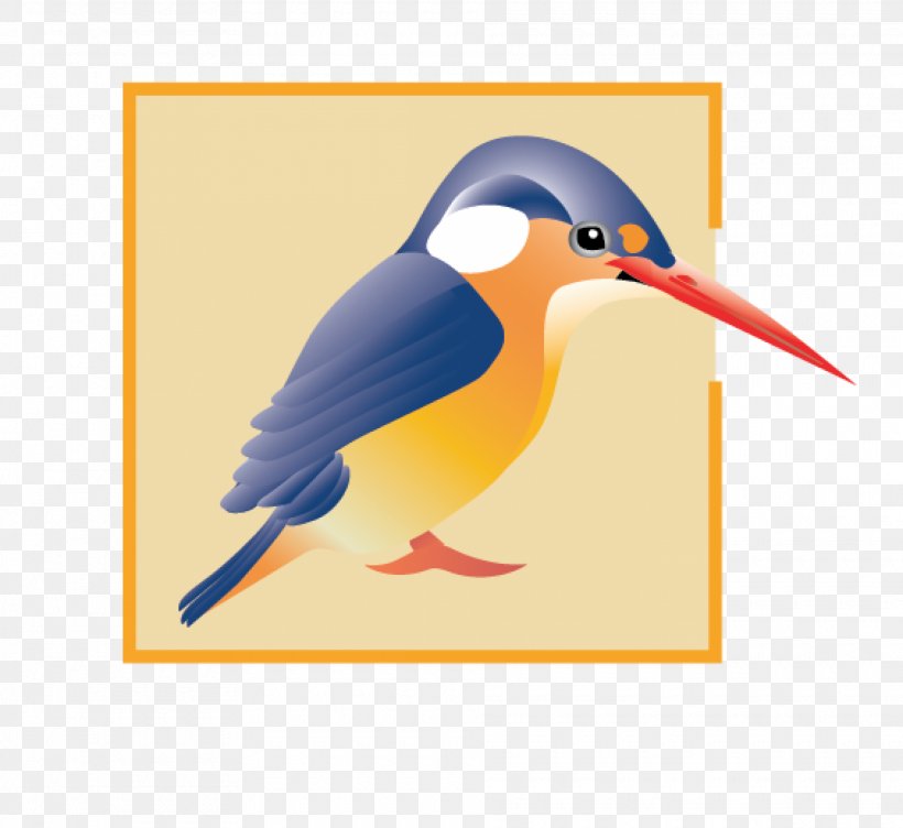 Kingfisher Special School Teacher Holy Rosary R C Primary School Website, PNG, 1920x1763px, Kingfisher Special School, Beak, Bird, Elementary School, Fauna Download Free