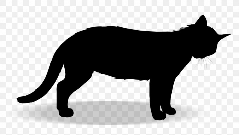 Manx Cat Whiskers Domestic Short-haired Cat Dog Canidae, PNG, 1024x579px, Manx Cat, Asian, Black Cat, Black M, Blackandwhite Download Free