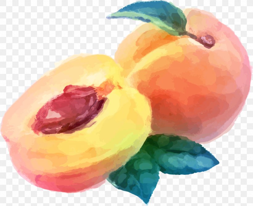 Peach European Plum Fruit Watercolor Paint Plant, PNG, 973x795px, Peach, European Plum, Flower, Food, Fruit Download Free