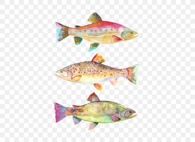 Watercolor Painting Art Koi Fish, PNG, 600x600px, Watercolor Painting, Art, Drawing, Fish, Fish Products Download Free