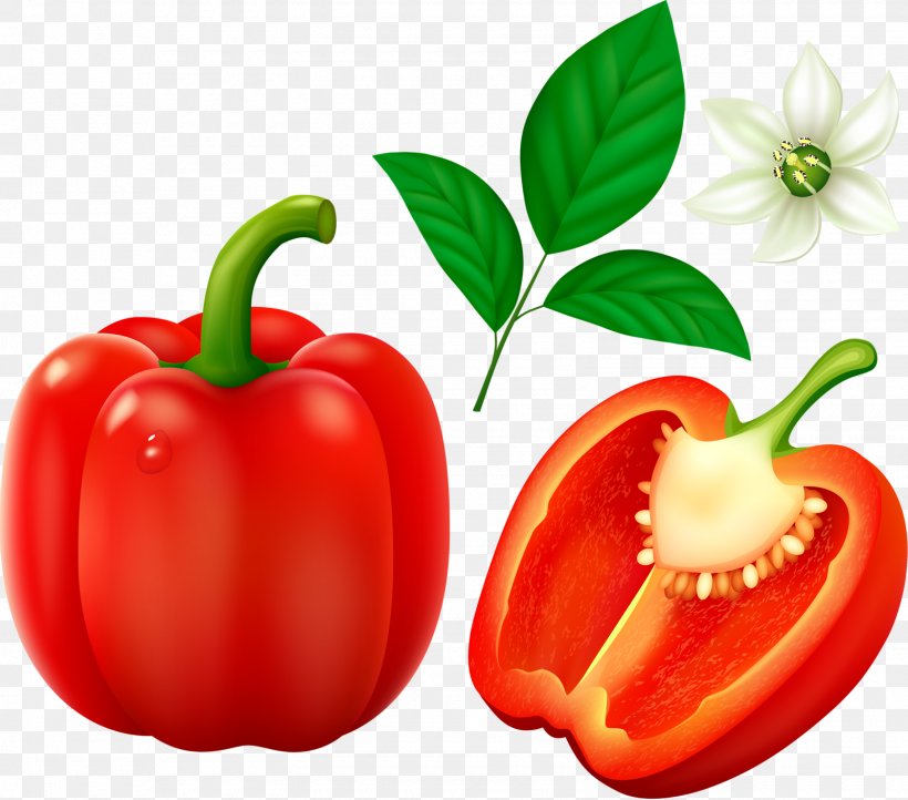 Bell Pepper Cayenne Pepper Chili Pepper Vegetable Clip Art, PNG, 1600x1410px, Bell Pepper, Bell Peppers And Chili Peppers, Bush Tomato, Capsicum, Capsicum Annuum Download Free