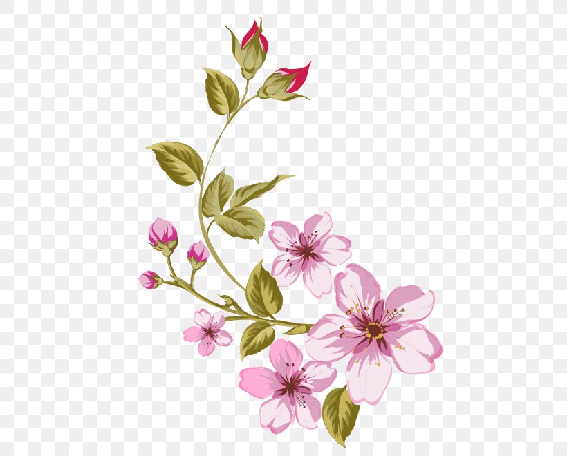 Clip Art, PNG, 584x660px, Pink Flowers, Blossom, Branch, Cherry Blossom, Color Download Free