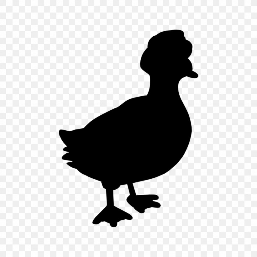 Duck Goose Clip Art Silhouette Fauna, PNG, 1024x1024px, Duck, Beak, Bird, Chicken As Food, Ducks Geese And Swans Download Free