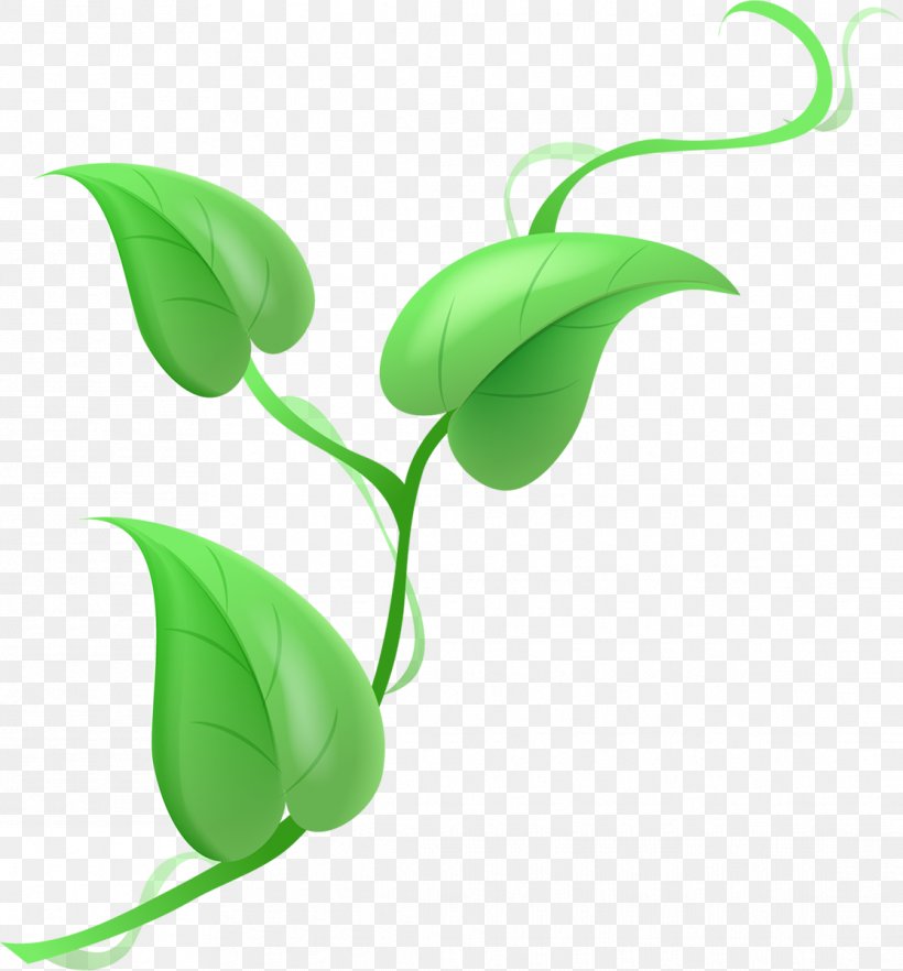 Flower Lilium Clip Art, PNG, 1115x1200px, Flower, Flora, Garden Roses, Green, Leaf Download Free