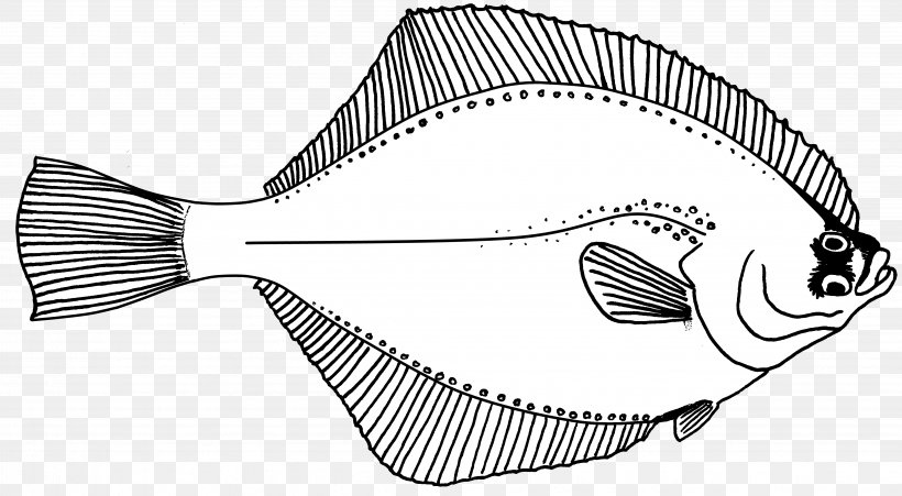 Line Art Fish Drawing Flounder, PNG, 4082x2246px, Line Art, Artwork, Black And White, Cartoon, Drawing Download Free