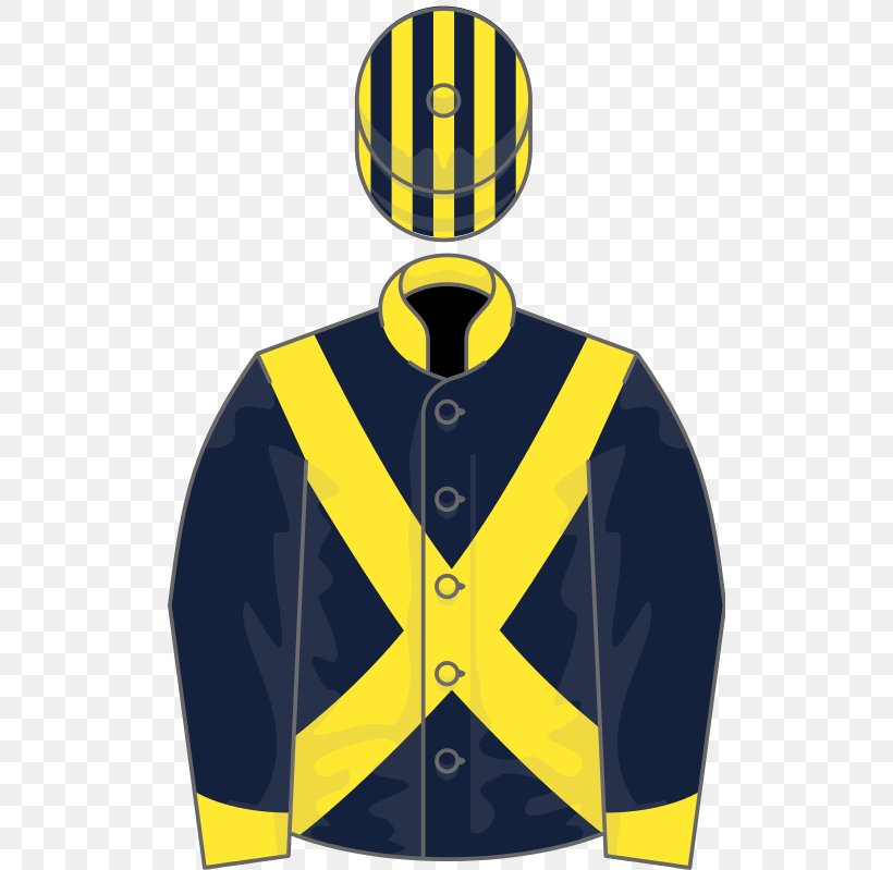 Longchamp Racecourse The Grand National National Hunt Racing Lingfield Oaks Trial Thoroughbred, PNG, 512x799px, Longchamp Racecourse, Brand, Grand National, Handicap, Horse Download Free