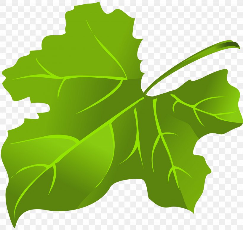 Maple Leaf Green Clip Art, PNG, 4020x3809px, Maple Leaf, Autumn, Flag Of Canada, Fruit, Green Download Free