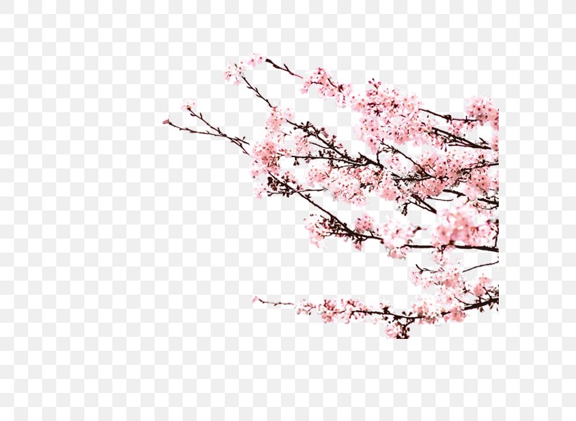 Image Design Painting Download, PNG, 600x600px, Painting, Architecture, Blossom, Branch, Cherry Blossom Download Free