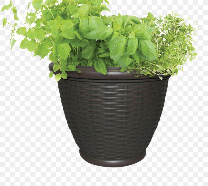 Stock Photography Flowerpot Thymes Houseplant Herb, PNG, 1115x1000px, Stock Photography, Basil, Container Garden, Flowerpot, Garden Download Free