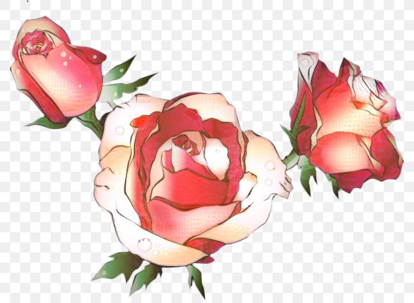 Garden Roses Cabbage Rose Floribunda Clip Art, PNG, 780x600px, Garden Roses, Animation, Artificial Flower, Botany, Bud Download Free