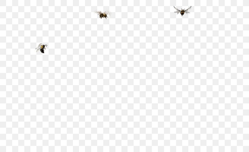 Insect Pollinator White Line Font, PNG, 640x500px, Insect, Bird, Black And White, Fauna, Invertebrate Download Free