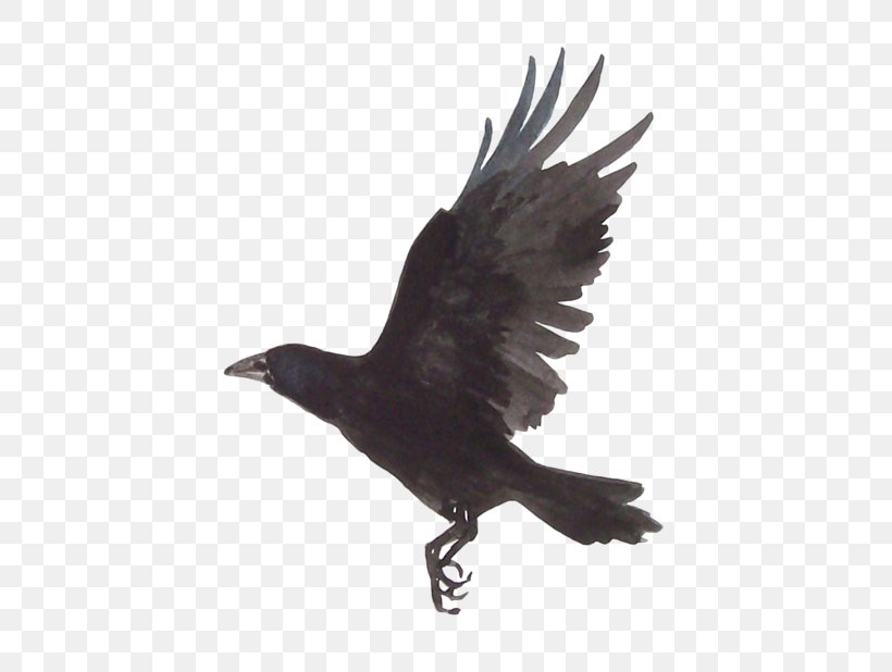Japanese Painting Japanese Painting Drawing Common Raven, PNG, 500x618px, Japan, American Crow, Art, Beak, Bird Download Free