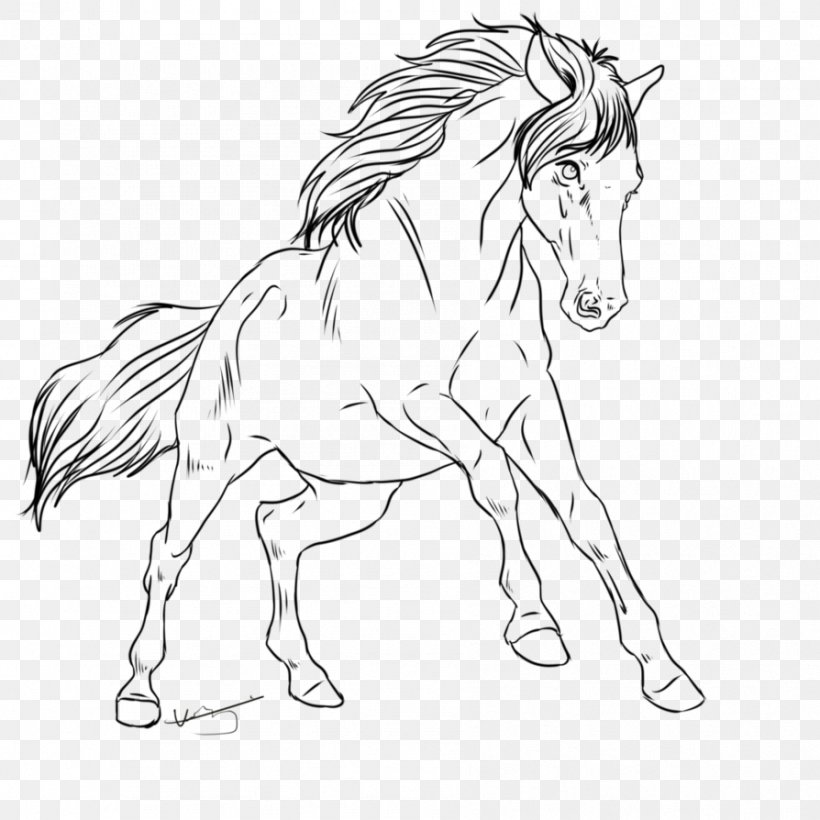 Mane Mustang Pony Stallion Halter, PNG, 894x894px, Mane, Animal Figure, Artwork, Black And White, Bridle Download Free