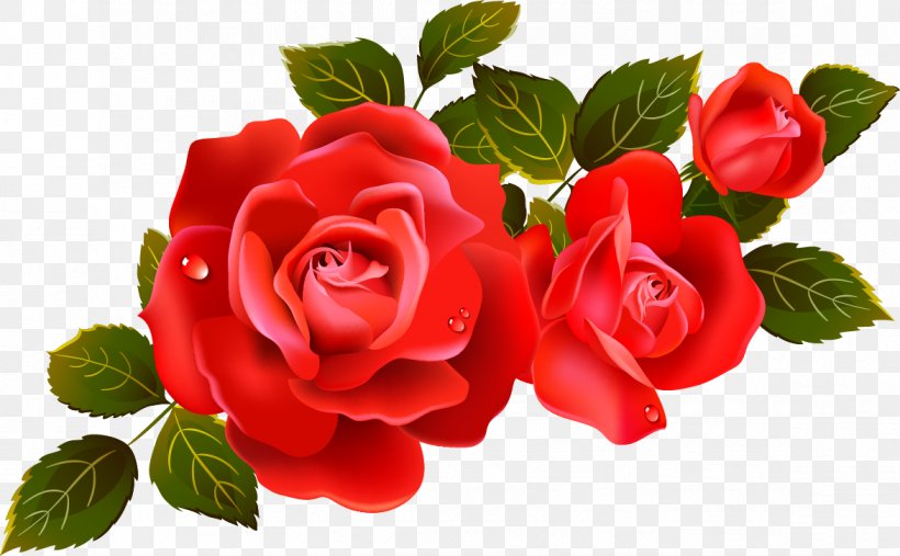 Rose Flower Clip Art, PNG, 1172x725px, Rose, Begonia, Blog, Cut Flowers, Floral Design Download Free