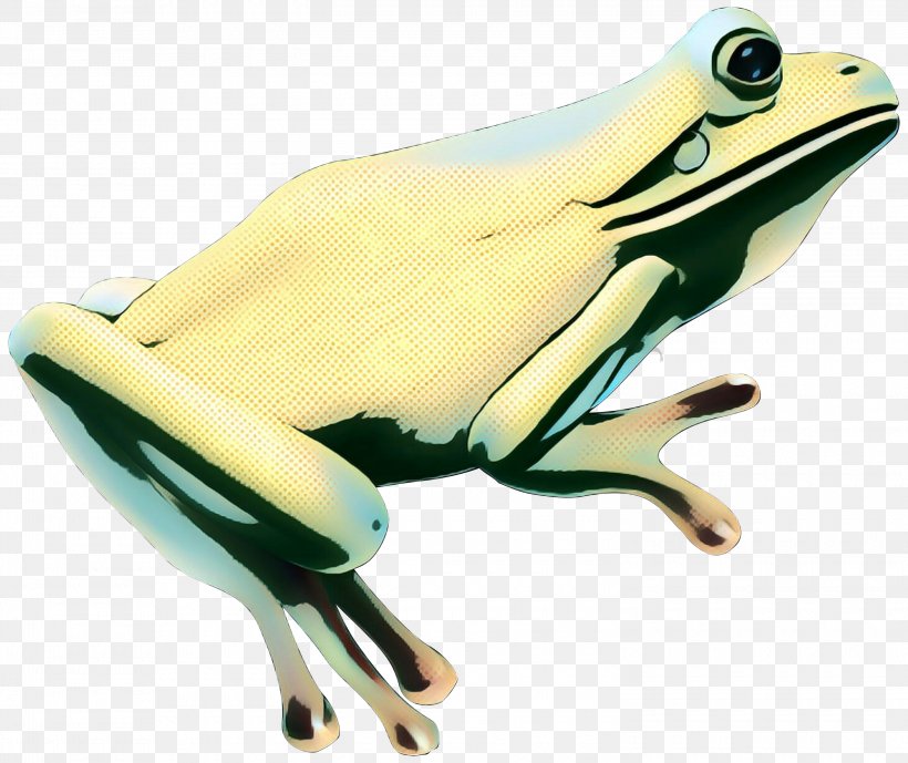 Tree Frog True Frog Toad Product Design, PNG, 3000x2524px, Tree Frog, Amphibian, Frog, Poison Dart Frog, Technology Download Free