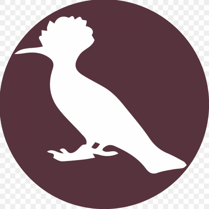 Beak Goose Cygnini Duck Bird, PNG, 1200x1200px, Beak, Bird, Cygnini, Duck, Ducks Geese And Swans Download Free
