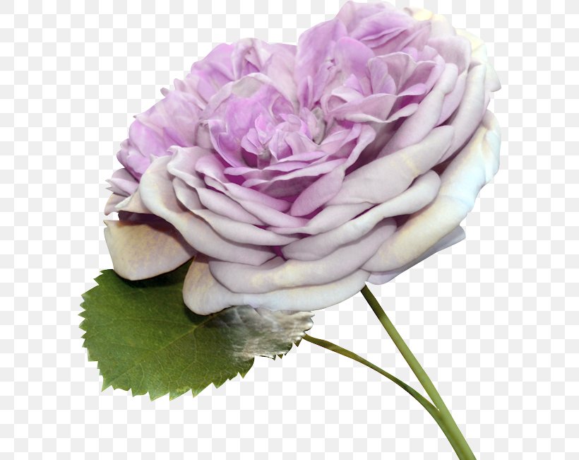 Garden Roses Cabbage Rose Floral Design Cut Flowers, PNG, 600x651px, Garden Roses, Artificial Flower, Bouquet, Cabbage Rose, Cut Flowers Download Free