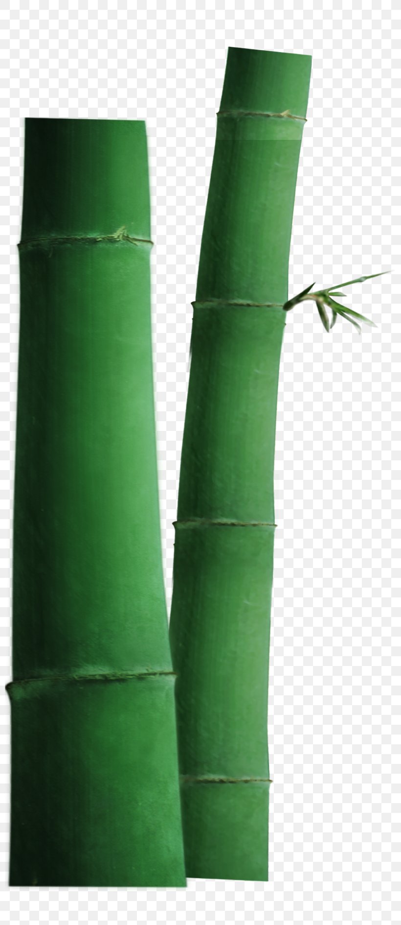 Green Bamboo Icon, PNG, 800x1889px, Green, Bamboo, Designer, Google Images, Leaf Download Free