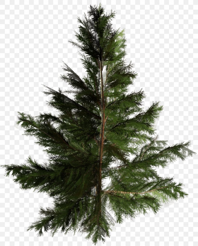 Artificial Christmas Tree Pine Pinales, PNG, 822x1022px, Tree, Artificial Christmas Tree, Branch, Christmas, Christmas Decoration Download Free