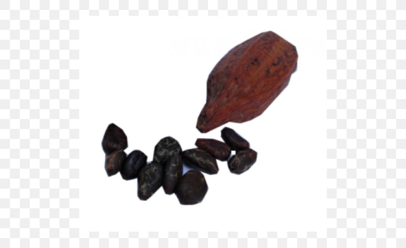 Cocoa Bean Theobroma Cacao Organic Food Flavor Bitterness, PNG, 500x500px, Cocoa Bean, Baking, Bitterness, Comentario, Commodity Download Free