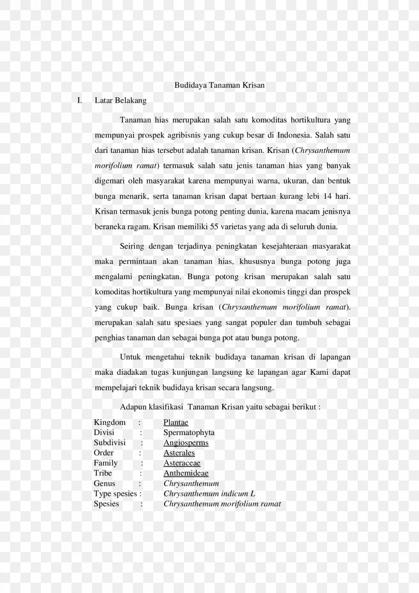 Document Angle Line, PNG, 1653x2339px, Document, Area, Diagram, Paper, Text Download Free