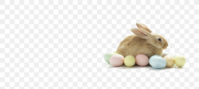 Domestic Rabbit Easter Bunny Hare Stuffed Animals & Cuddly Toys, PNG, 1200x540px, Domestic Rabbit, Easter, Easter Bunny, Hare, Rabbit Download Free