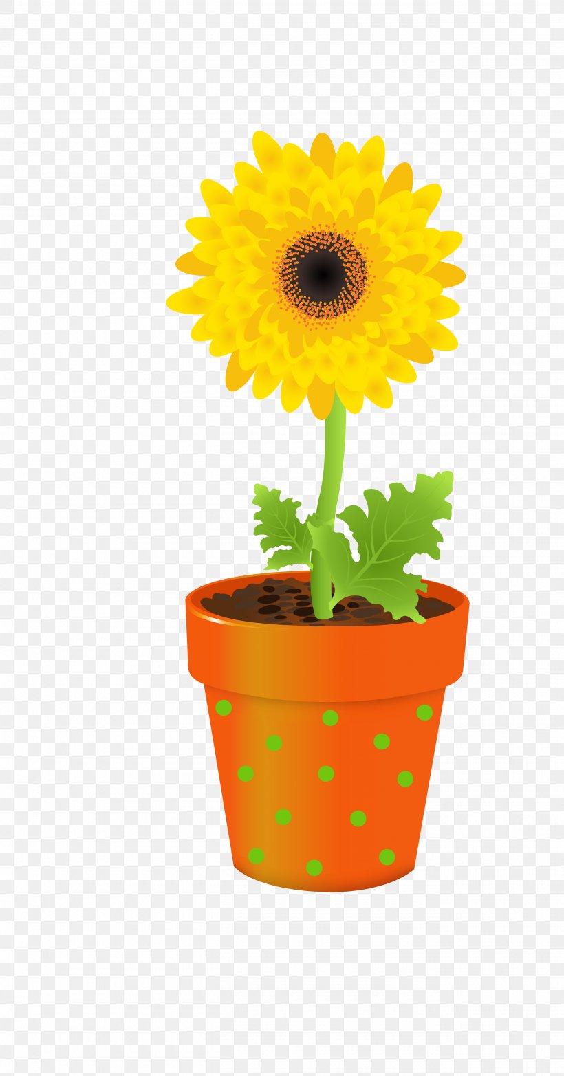 Flower Vase Stock Photography Clip Art, PNG, 2620x5003px, Flower, Cut Flowers, Daisy Family, Drawing, Floral Design Download Free
