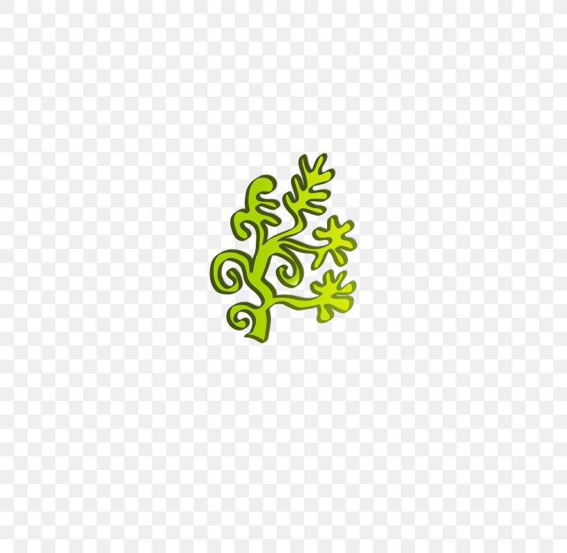 Green Algae Seaweed Clip Art, PNG, 566x800px, Algae, Aquatic Plants, Flora, Fruit, Grass Download Free