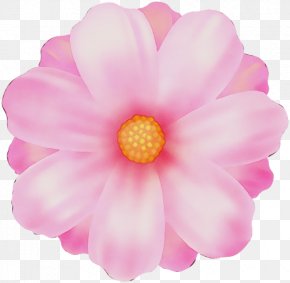 Daisy Family Artificial Flower - Artificial Flower PNG