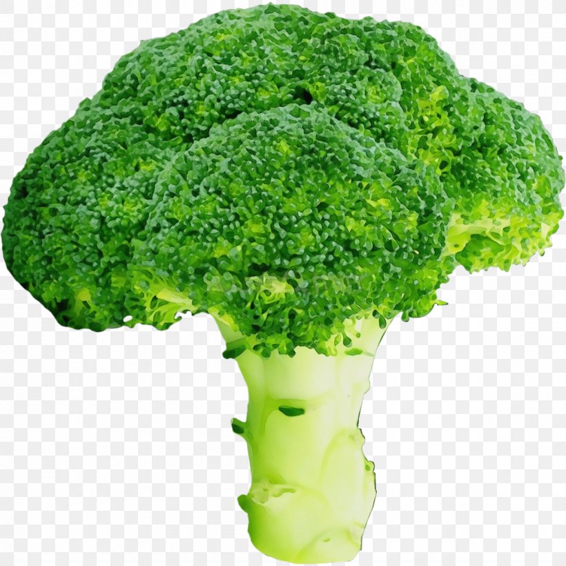 Broccoli Leaf Vegetable Cruciferous Vegetables Vegetable Green, PNG, 1200x1200px, Watercolor, Broccoflower, Broccoli, Cruciferous Vegetables, Food Download Free