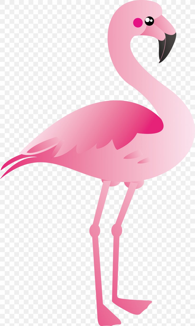 Plastic Flamingo Clip Art, PNG, 1492x2496px, Plastic Flamingo, Beak, Bird, Cartoon, Flamingo Download Free